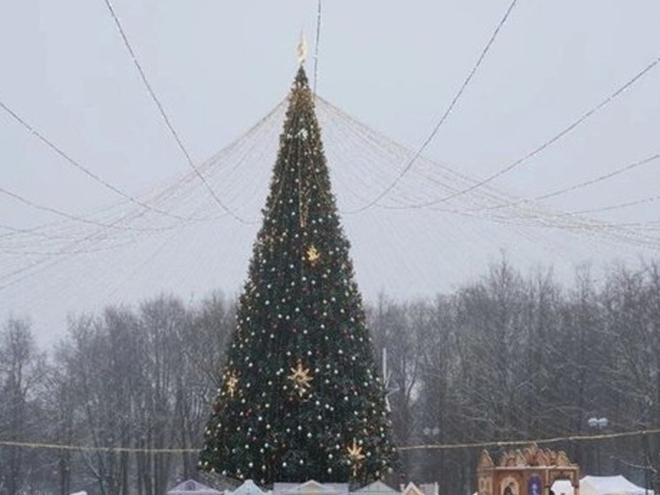 В Великом Новгороде начали разбирать новогоднюю елку