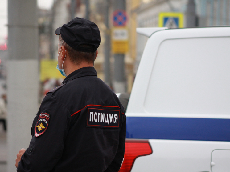 Под Тулой арестован участник смертельной драки