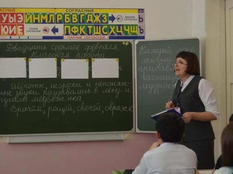 В академический словарь РАН внесли слова "фриган" и "тиктокер"