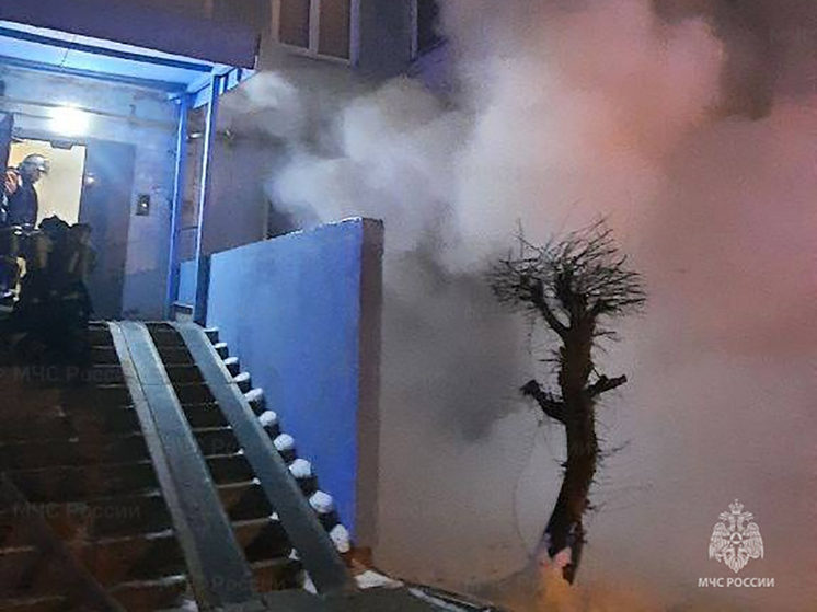 Два человека погибли на пожаре в подмосковном Серпухове