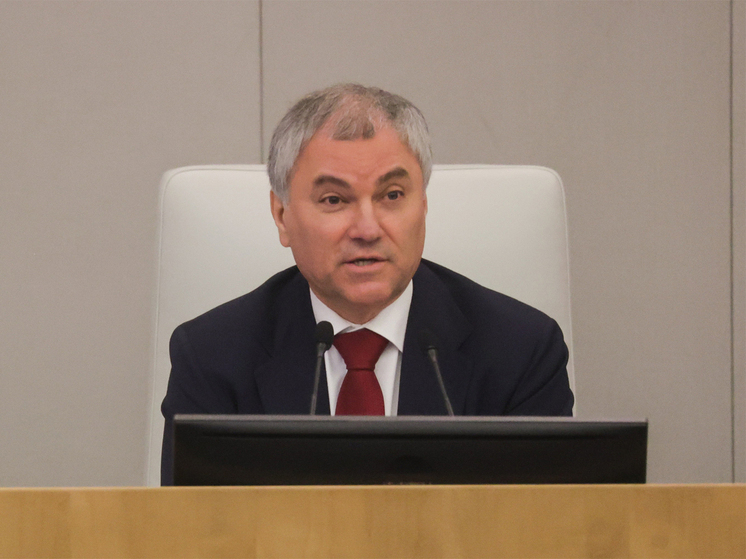 Володин указал на пороки российской медицины: «Из терапевта в стоматологи за 20 тысяч рублей»
