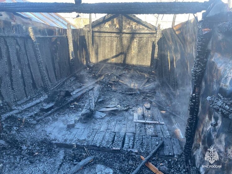 6 специалистов МЧС тушили пожар в Опочецком округе