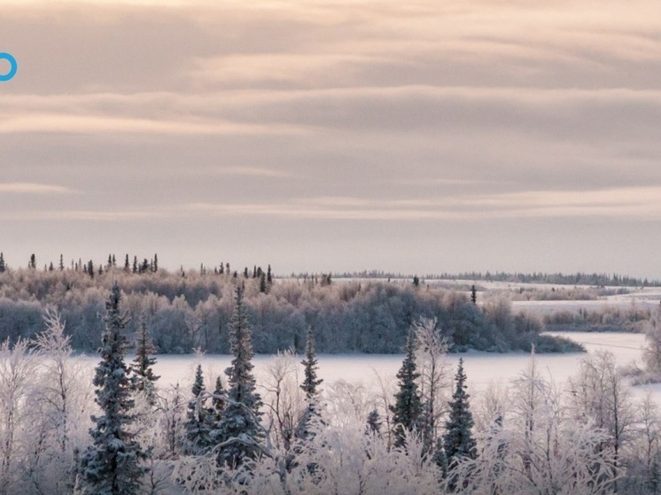 Порядок получения справки касательно ОКН на участке раскрыли в НАО