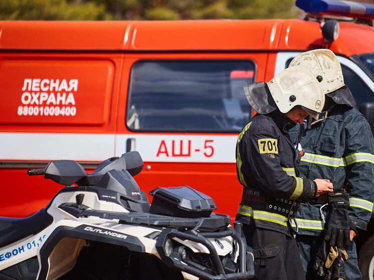 За сутки в Тверской области потушили пять пожаров