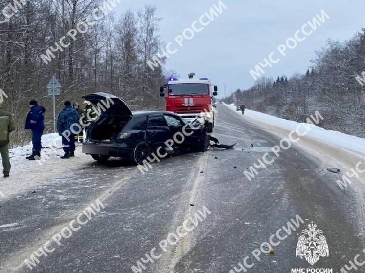 В Тверской области пассажир иномарки умер от полученных в ДТП травм