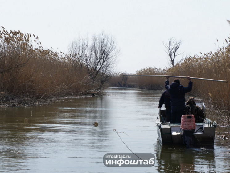 Экологическая катастрофа под Астраханью: рыба в ловушке и отсутствие ответственных