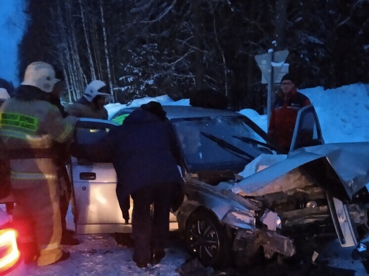 Три человека пострадали в ДТП на трассе в Архангельской области