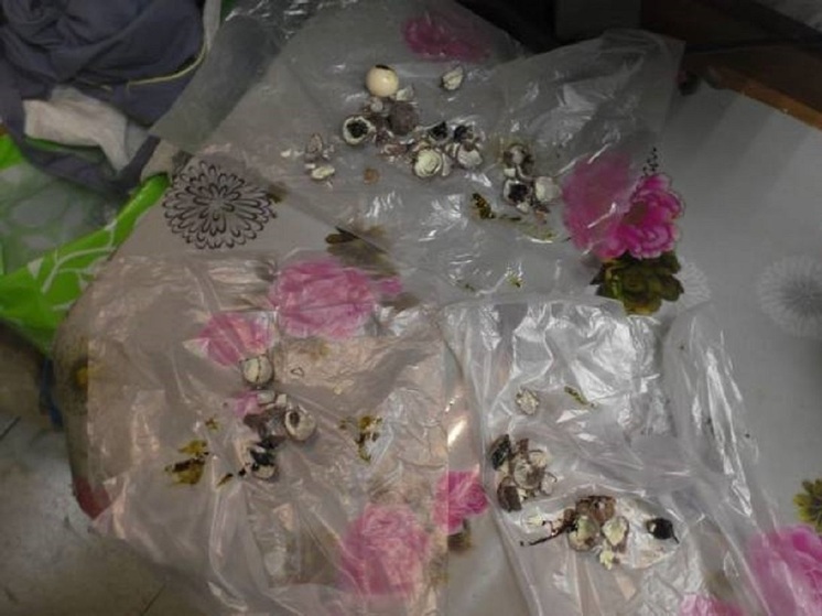 Полицейские Уссурийска пресекли попытку доставки конфет с наркотиками в СИЗО