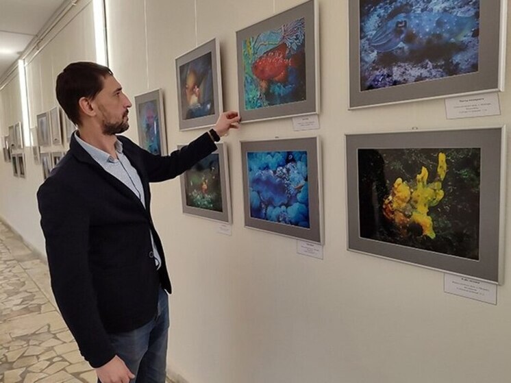 В Пущино открылась выставка подводной фотографии «Глубина погружения»