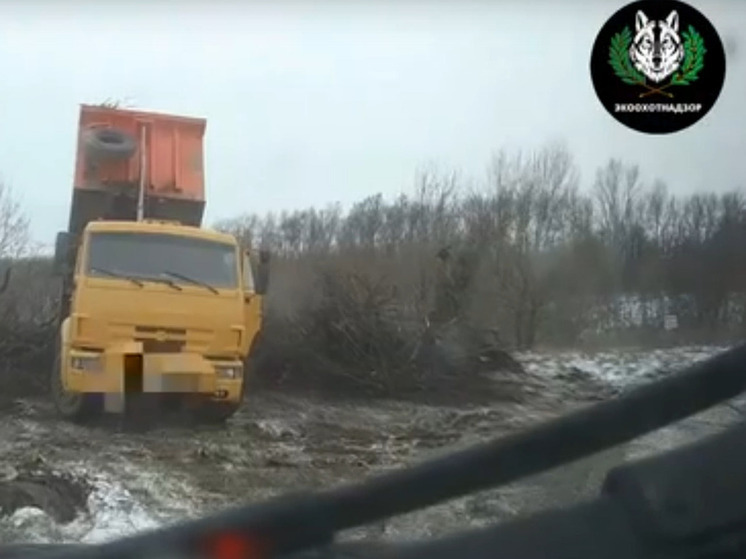 Белгородца оштрафовали за нарушения при расчистке участка