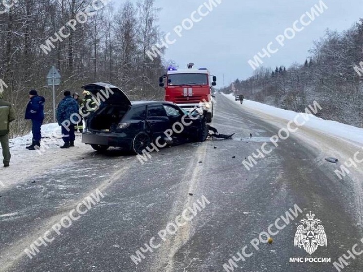 В ГАИ прокомментировали аварию с погибшим на дороге Тверь-Ржев