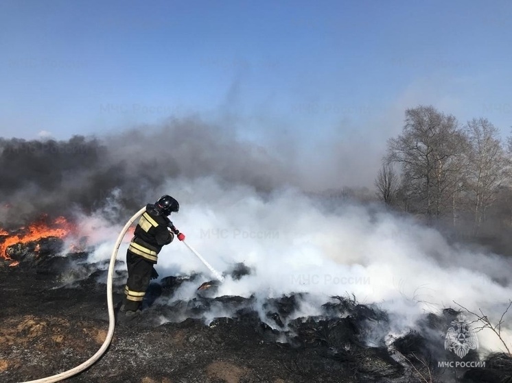 Озвучили прогноз пожарной опасности в лесах Орловской области