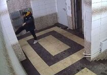 Курьер онлайн-магазина «Купер» разгромил один из подъездов в доме на Северо-Енисейской, 46