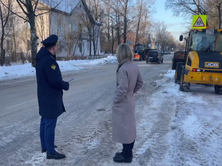 Прокуратура Приозерска проверила уборку улиц от снега