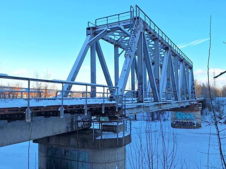 Заброшенный мост через Охту перестроят в сквер для прогулок