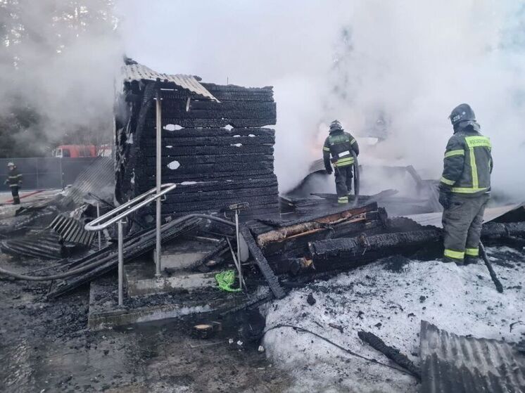 Мать и дочь погибли во время пожара в Пушкинском округе