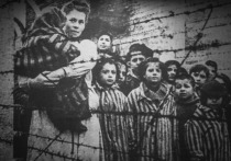 К 80–летию освобождения узников Аушвица–Освенцима еврейская община Франкфурта–на–Майне подготовила специальную программу, посвященную памяти жертв Холокоста. Это событие имеет особое значение не только потому, что в общине до сих пор живут свидетели тех страшных событий, такие как госпожа Эва Шепези, о которой МК–Германия писала три года назад. Ее история — это история благодарной памяти о подвиге советских солдат, освободивших узников лагерей смерти. Новости Германии по-русски