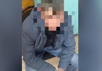 Половинский районный суд Курганской области признал виновным ранее судимого местного жителя по ч