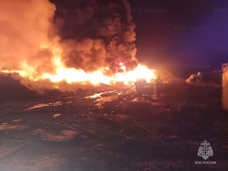 Под Жуковом сгорел склад