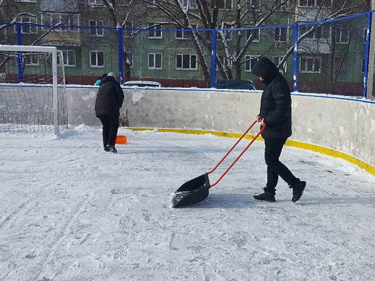 В Тамбове совместными усилиями приводят в порядок зимние катки