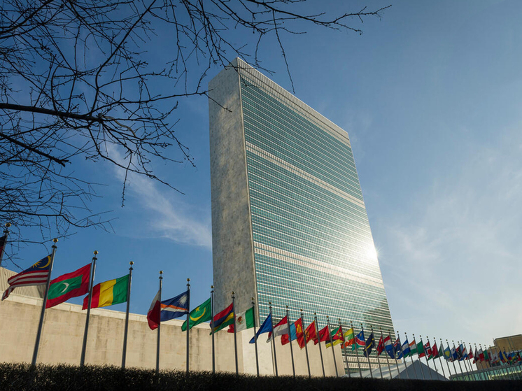 Могут хлопнуть дверью: действительно ли США выходят из ООН