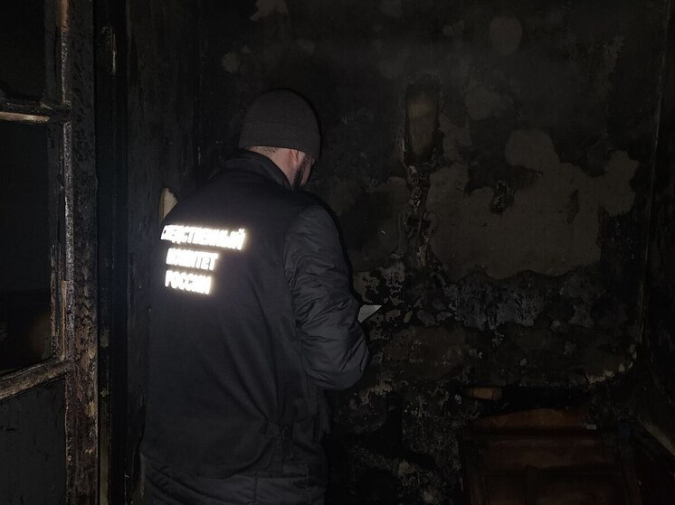 Следователи выясняют обстоятельства гибели двух человек при пожаре в Пензе
