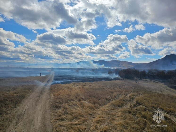 Первый пал травы в этом году зафиксировали в районе Забайкалья