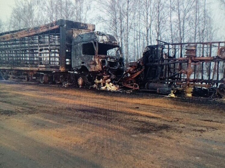 Выясняются личности двух погибших в ДТП на трассе Липецк-Данков