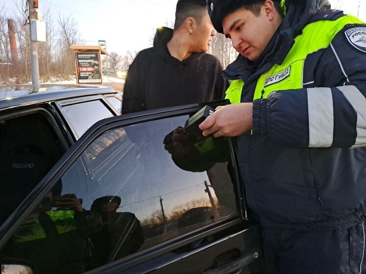 В Тульской области ГАИ за сутки поймала 10 мигрантов, занимающихся перевозками