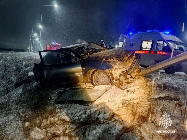 В Тульской области с начала года в ДТП пострадали 20 детей