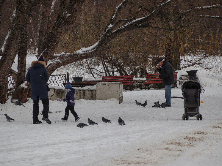 Морозы до -18° пообещал синоптик жителям Подмосковья в праздник