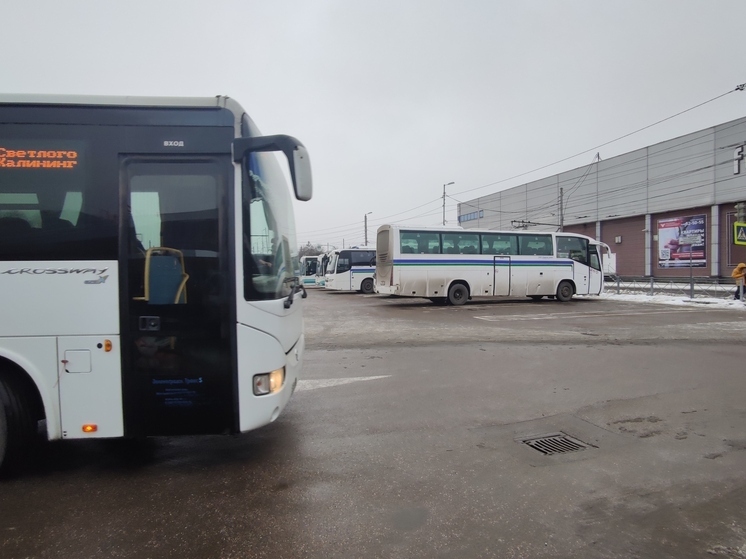 Калининградцы пожаловались на пролетающие мимо остановки междугородние автобусы