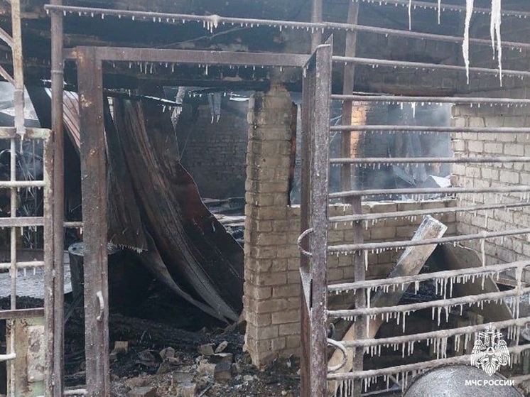 В Томске 48 пожарных тушили загоревшийся магазин кормов