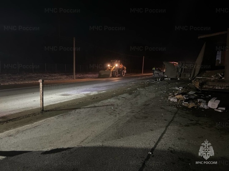 Подробности массового ДТП под Вязьмой