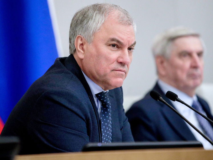Вячеслав Володин отказал сбежавшим из России в праздновании 23 февраля
