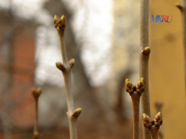 В Калужскую область возвращается тепло