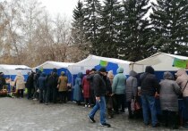 В субботу, 22 февраля, на шести площадках во всех районах Барнаула пройдут продовольственные ярмарки.  Такая форма торговли популярна не только среди малообеспеченных и пожилых горожан. Это хороший способ сэкономить для каждого горожанина. Ярмарки в Барнауле популярны уже 20 лет. 22 февраля возобновят их проведение после зимнего перерыва. По субботам торговля будет проходить примерно до середины мая, а затем снова ожидается перерыв на лето.