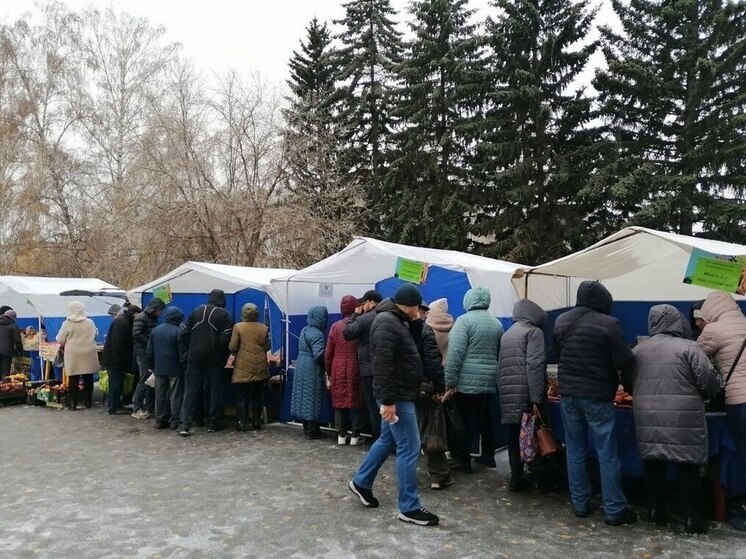 В Барнауле планируют провести 19 ярмарок в 2025 году