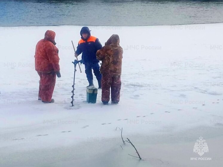 Сотрудники МЧС России усиленно патрулируют водоемы Тульской области