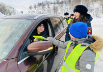 В День защитника Отечества Госавтоинспекция Александровска совместно с отрядом ЮИД «Зеленый огонек» и военной автоинспекцией провела акцию по поздравлению водителей.