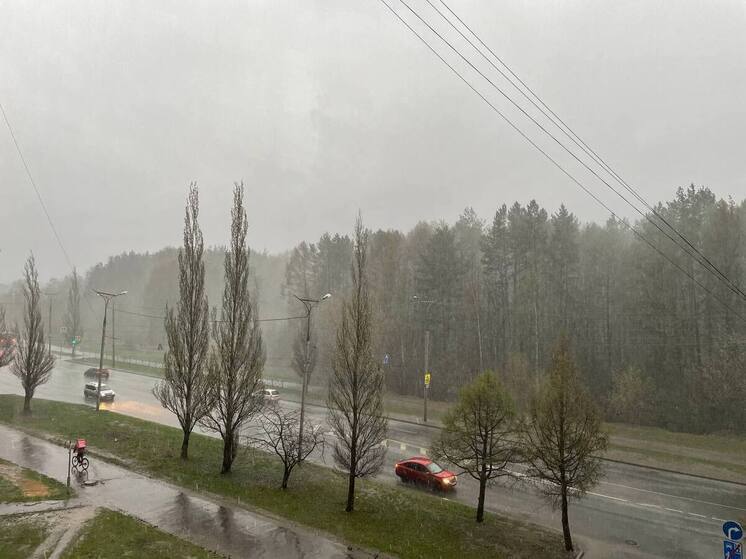 Холодный май и аномальная жара в августе: синоптики ошарашили россиян прогнозом на лето 2025 года