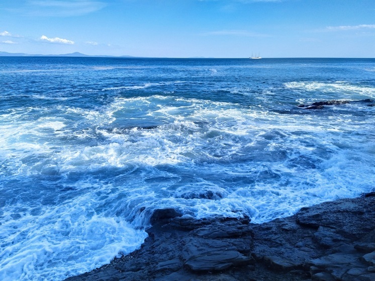 Синоптики Приморья опровергли угрозу цунами после землетрясений в Японском море