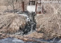 Началось расследование многолетнего бездействия власти по реконструкции очистных сооружений в Покровке