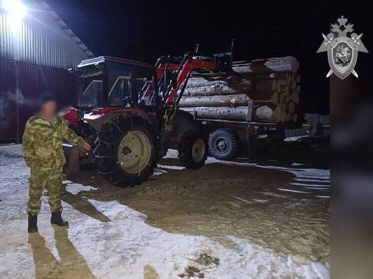 На Алтае мужчину насмерть придавило бревном при разгрузке на пилораме