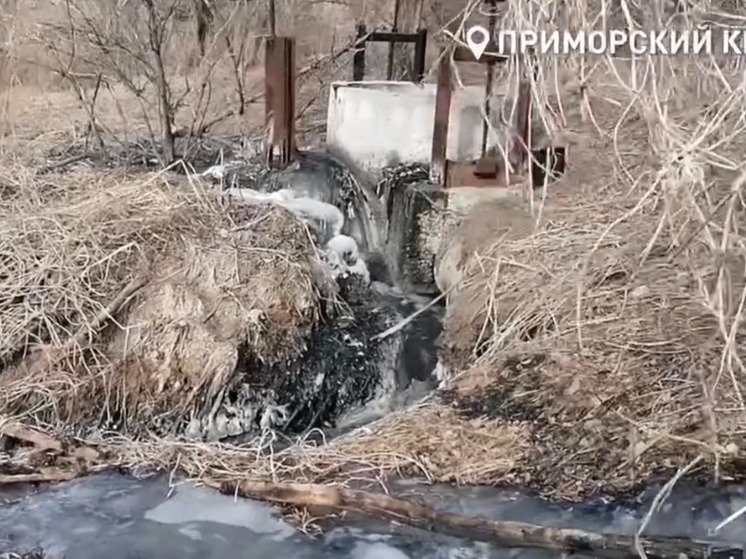 Бастрыкин заинтересовался 13-летним долгостроем очистных в Покровке Приморья