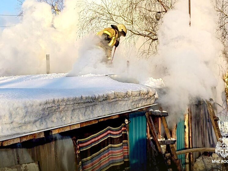 В Томской области в День защитника Отечества потушили 5 пожаров, погиб один человек