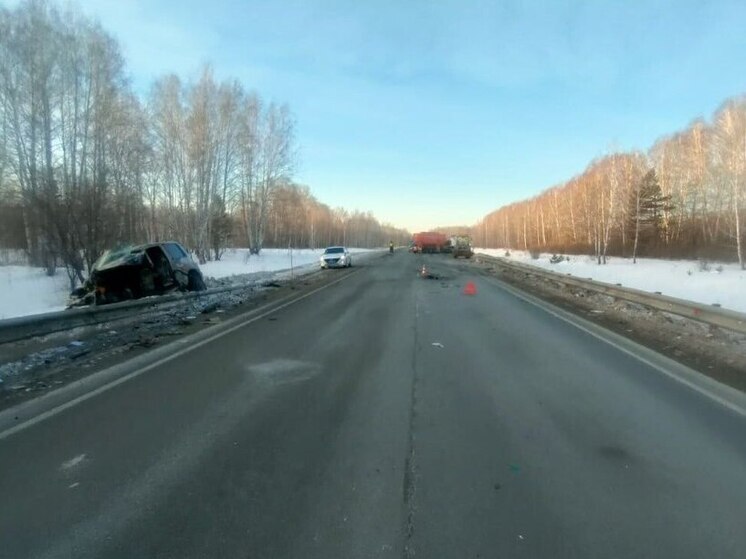 В столкновении с фурой под Новосибирском скончался водитель легковушки