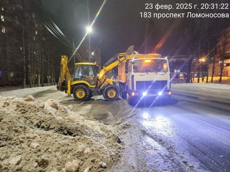 В Архангельске борются с последствиями ледяного дождя