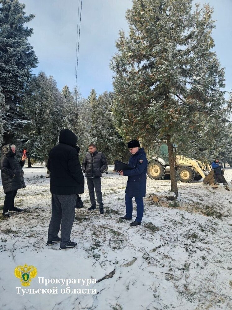 Прокуратура Донского проверяет сообщения о массовой вырубке туй