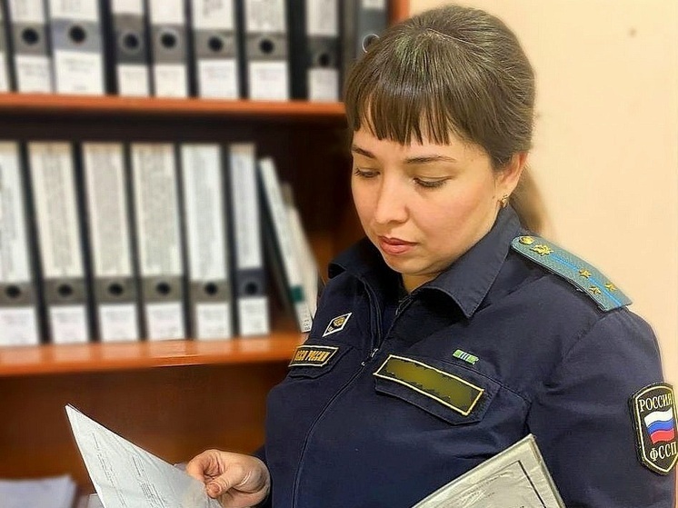 Самарец под угрозой изъятия иномарки погасил долг перед сыном в 250 тыс. рублей